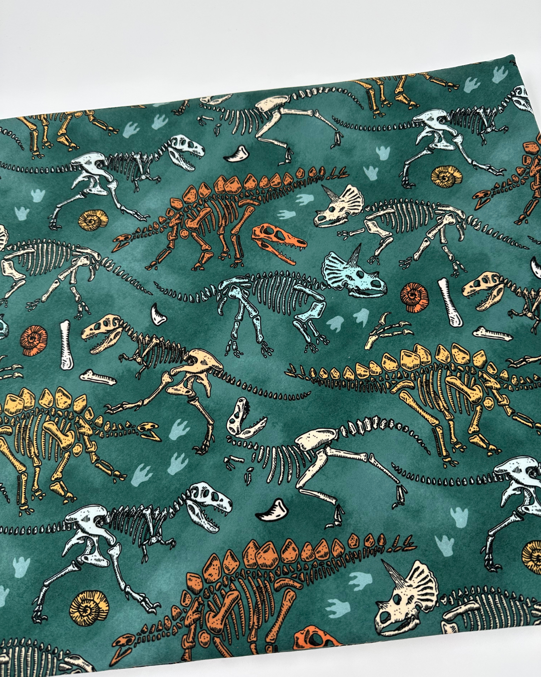 Drop 4: Dinosaurs