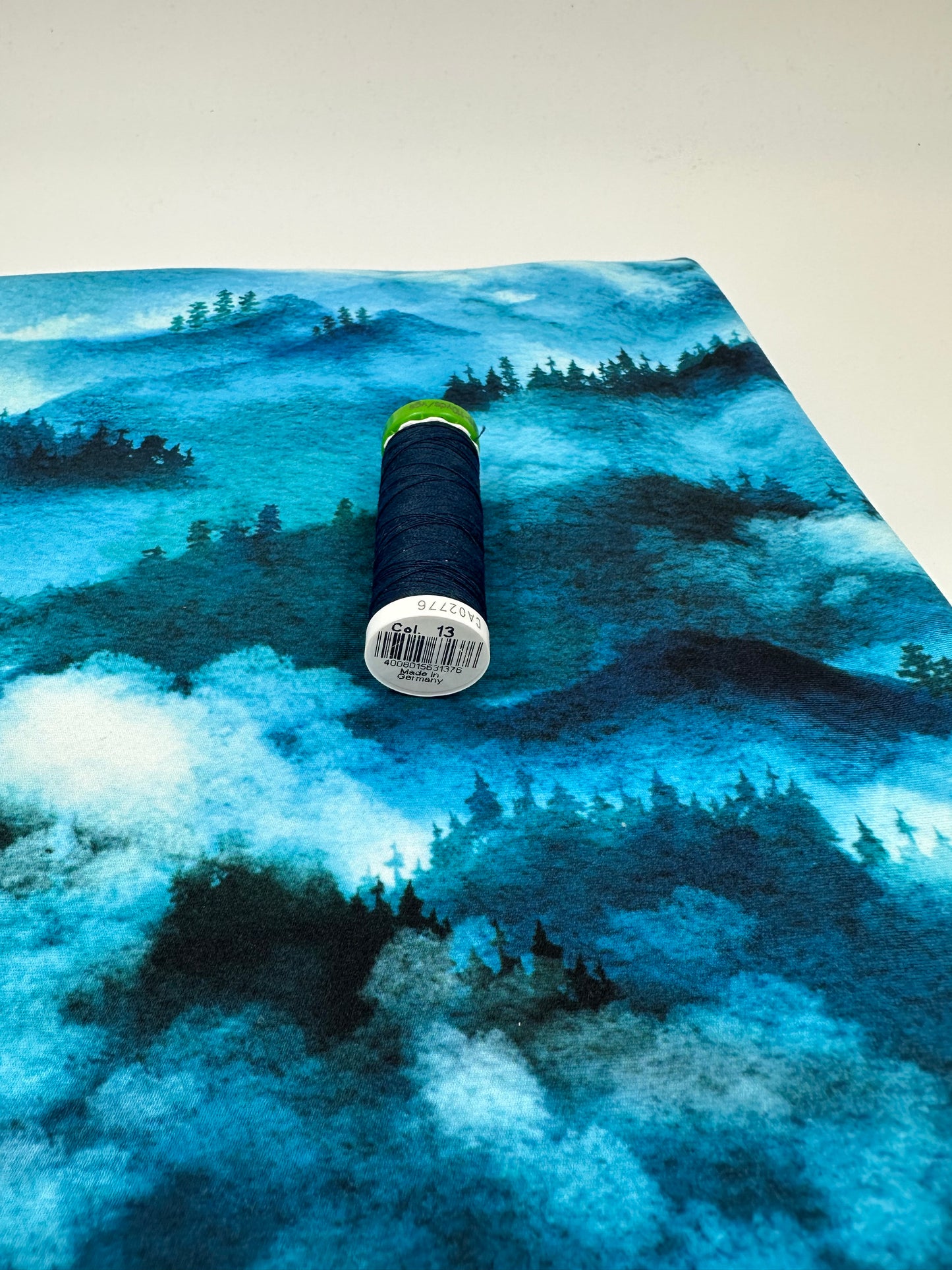 AK 265: Shadowed Trees