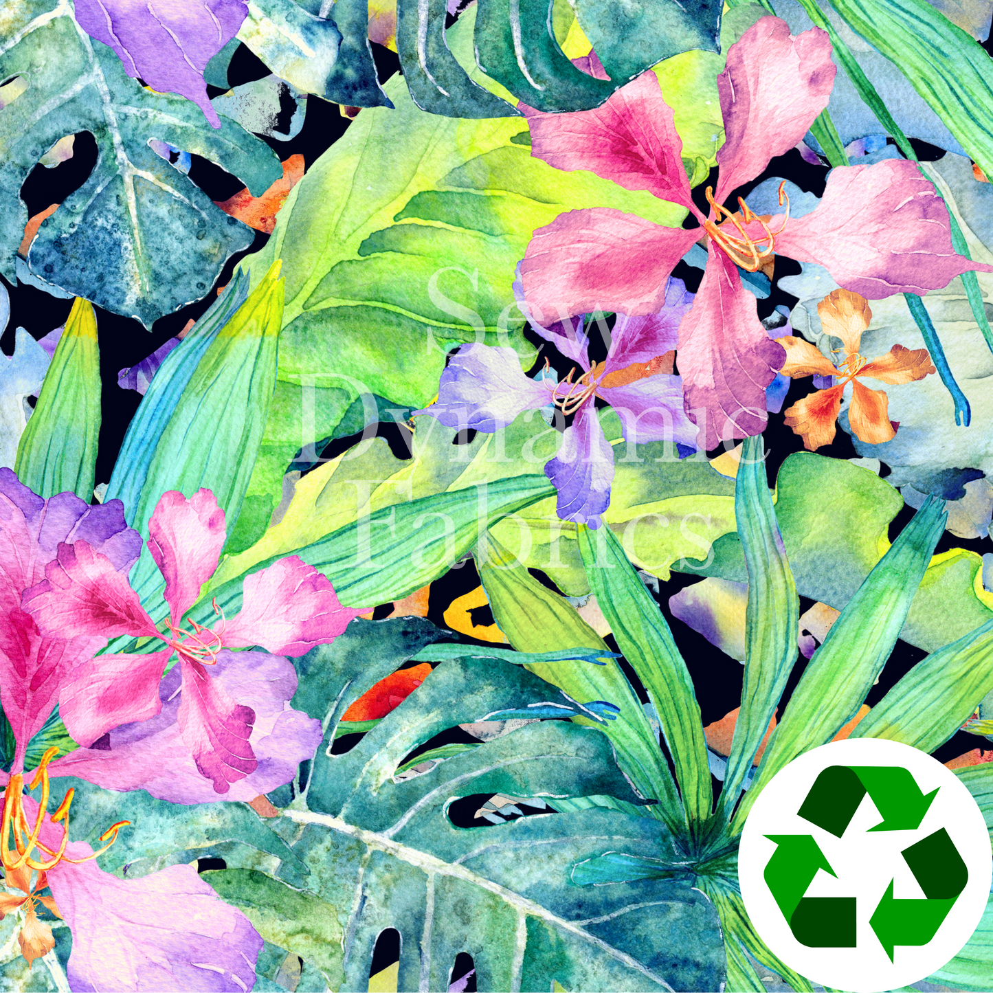 Swim Poly (NEW): Tropical Paradise