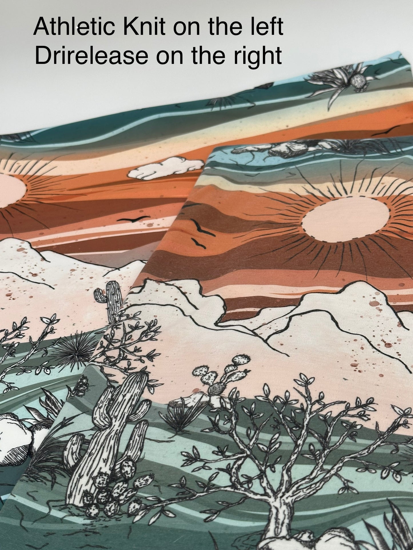 Boardshort: Desert Landscape