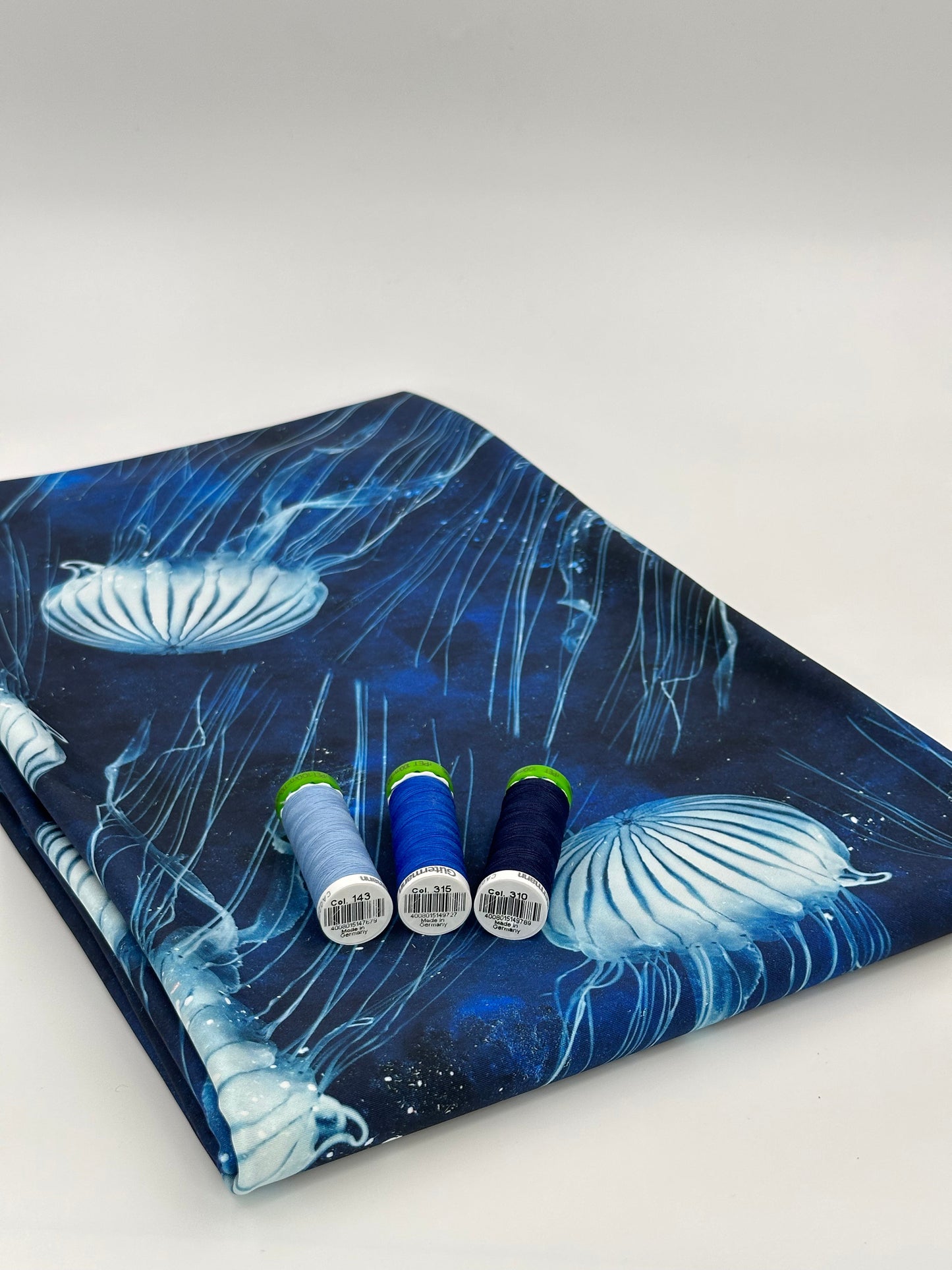 Swim Poly: Jellyfish