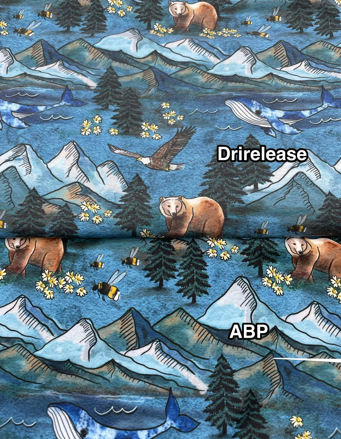 Recycled Canvas: Planet A