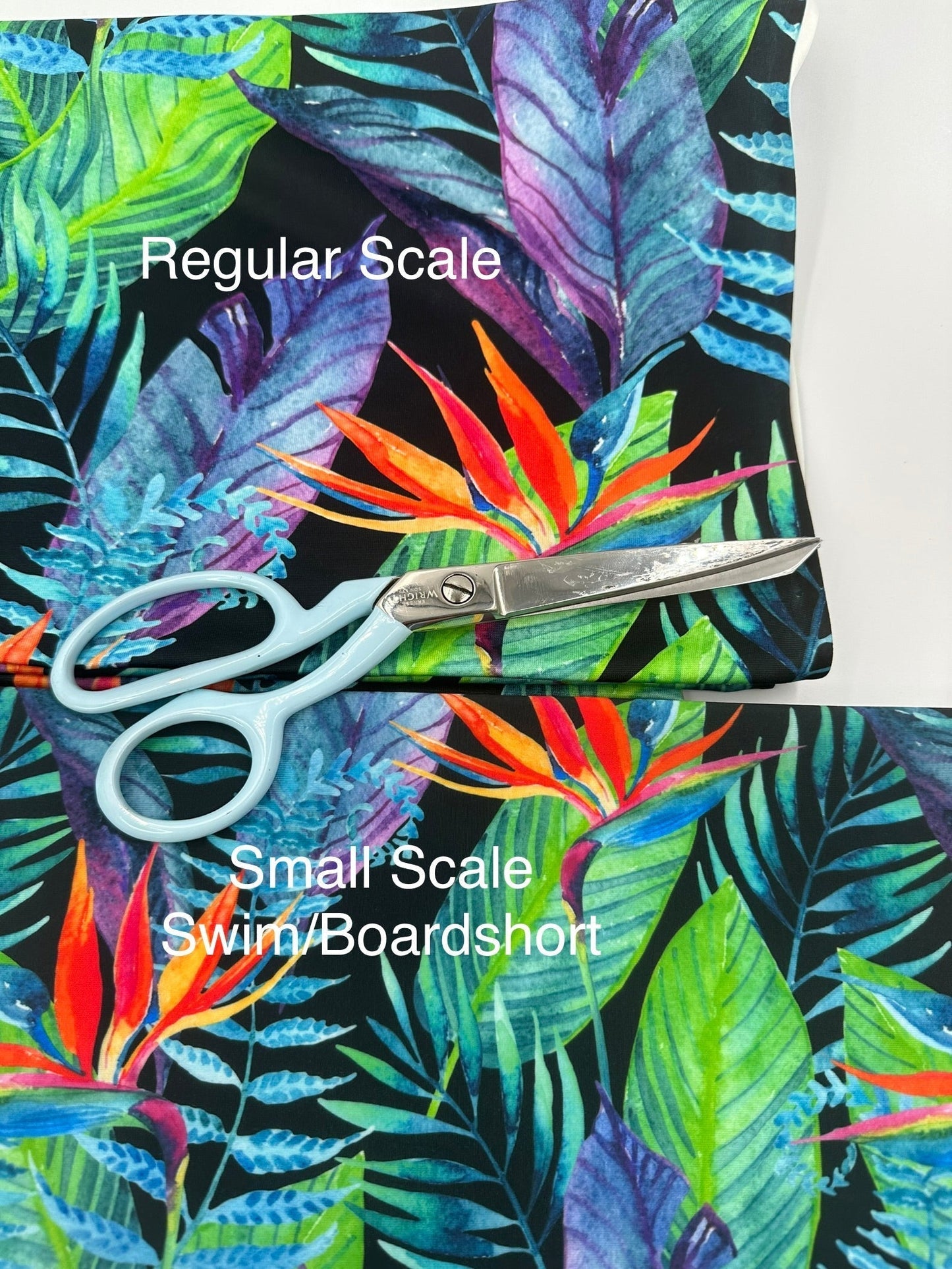 Boardshort: Bird of Paradise (18" Precut)