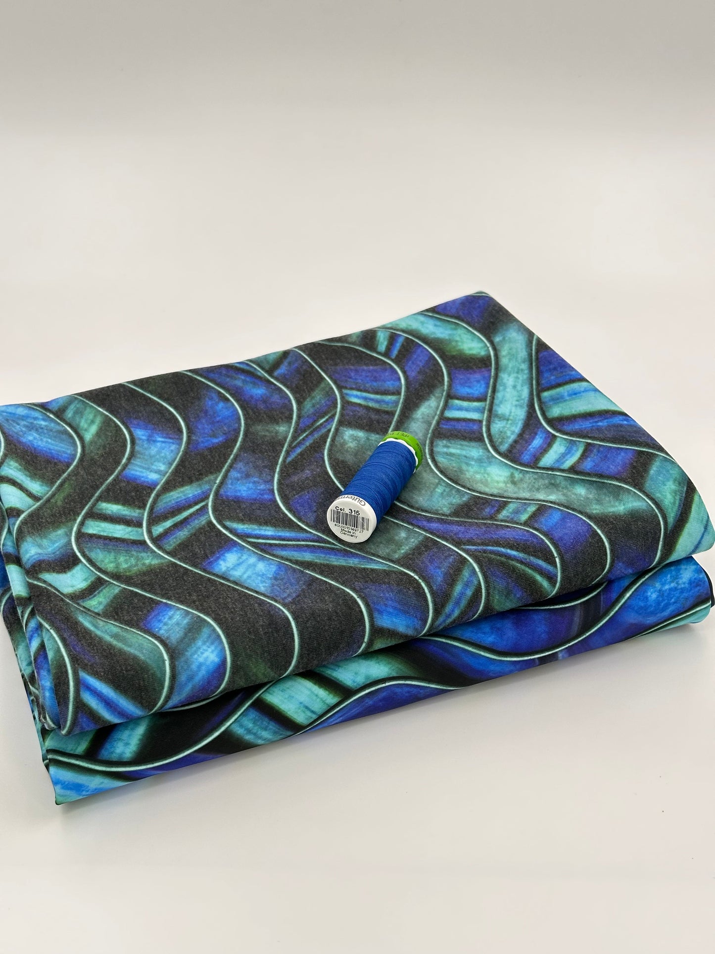 Swim Poly: Abalone
