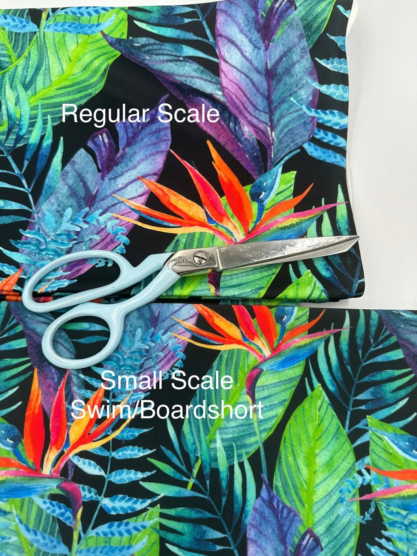Jersey Knit: Bird of Paradise