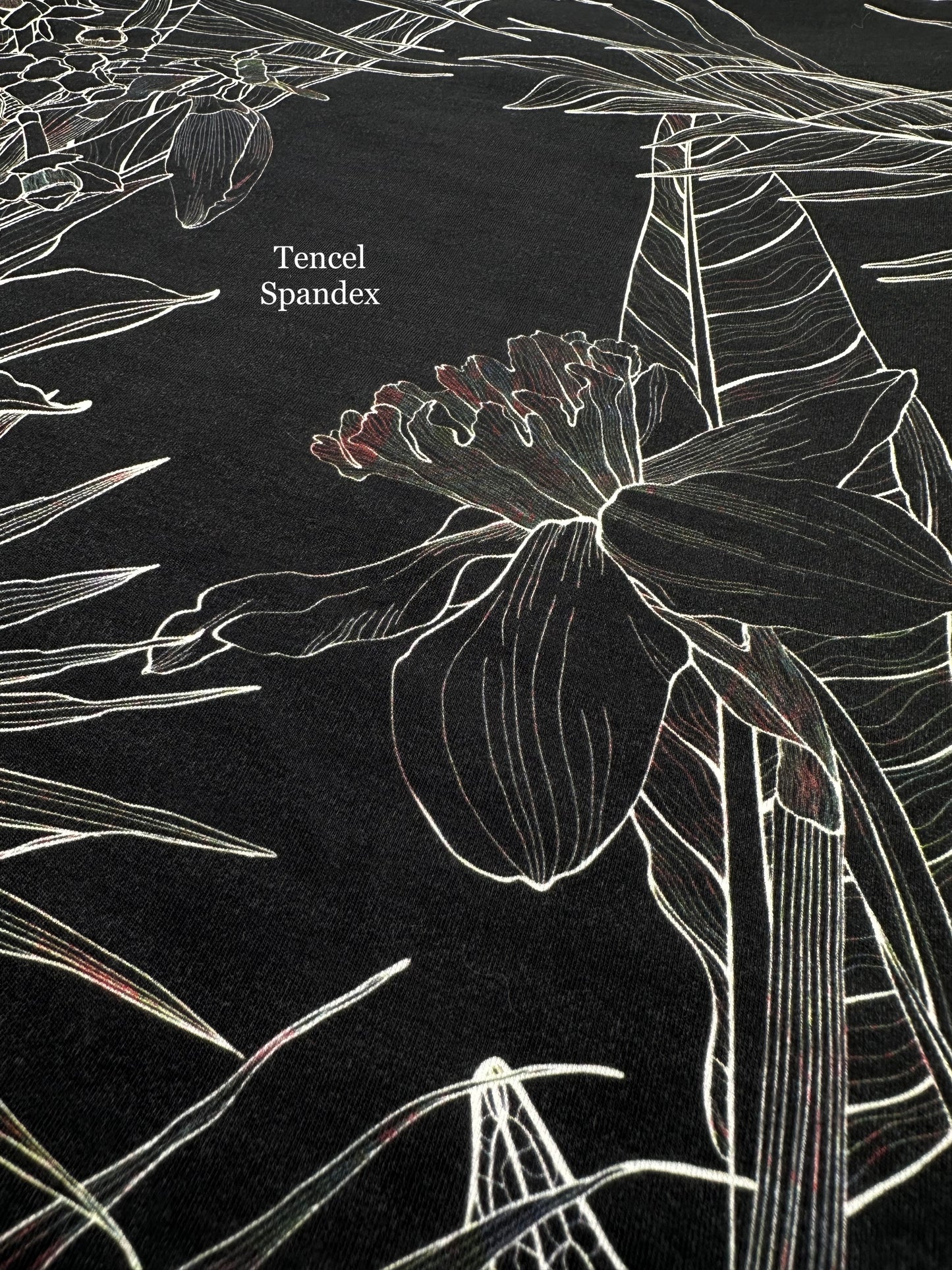 Athletic French Terry: Tropical Whispers