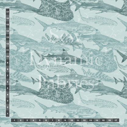 Drop 2:  Shark Attack (Coming Soon)