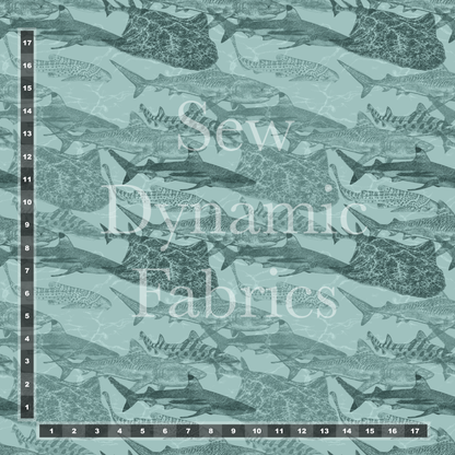 Swim Poly (NEW): Shark Attack (small scale)