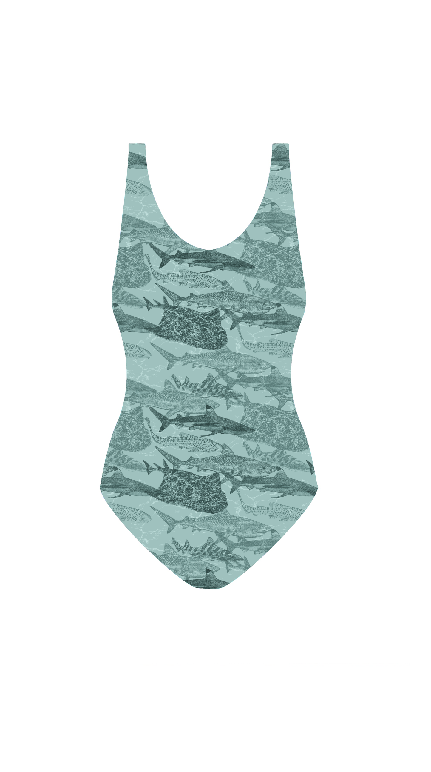 Swim Poly (NEW): Shark Attack (small scale)
