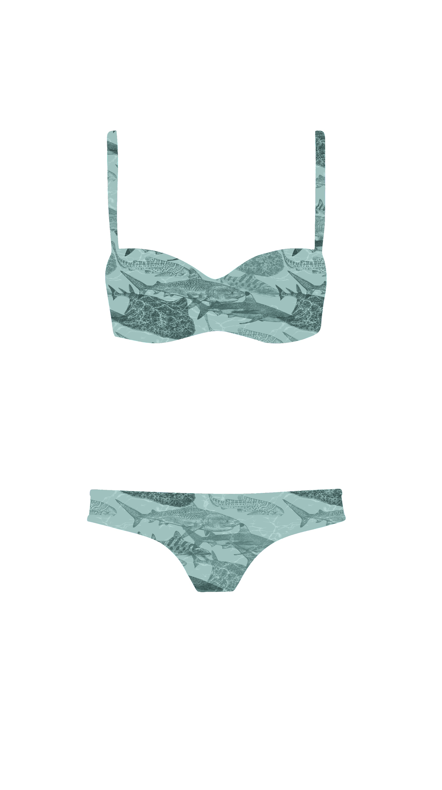 Swim Poly (NEW): Shark Attack (small scale)