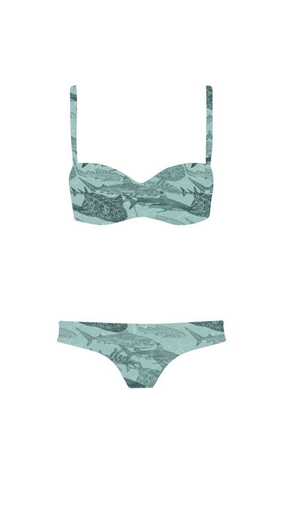Swim Poly (NEW): Shark Attack (small scale)