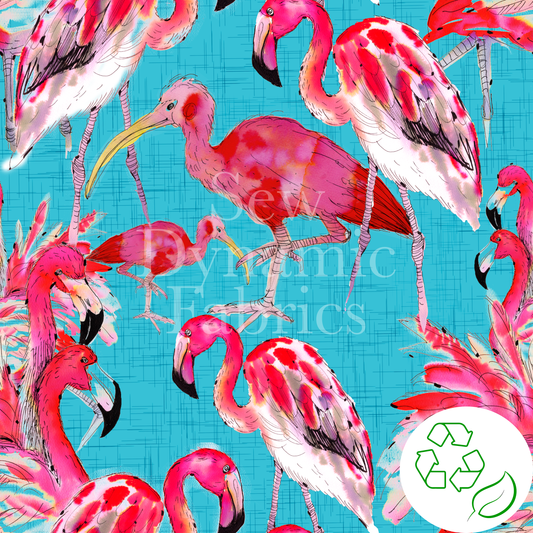 Swim Poly (NEW): Flamingos