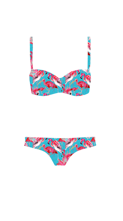 Swim Poly (NEW): Flamingos