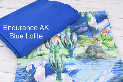 AK 265: Painted Cactus