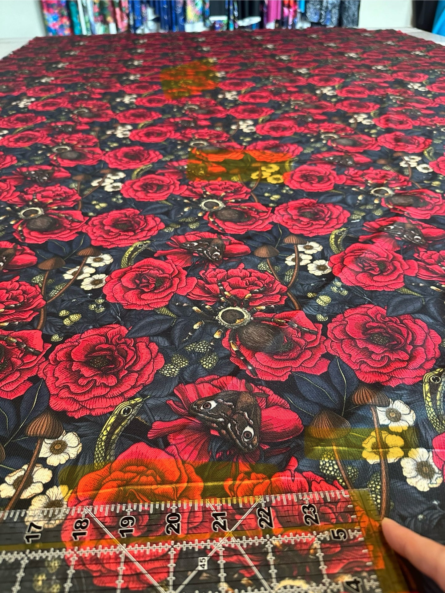 Flawed Panama Recycled Canvas: Spiders