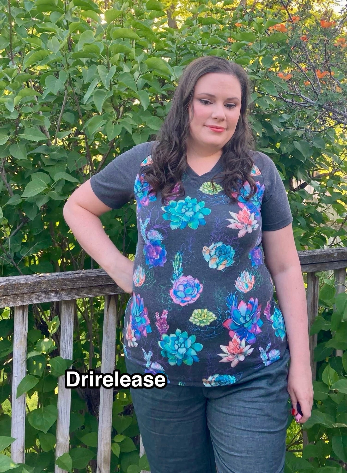 Drirelease: Succulents