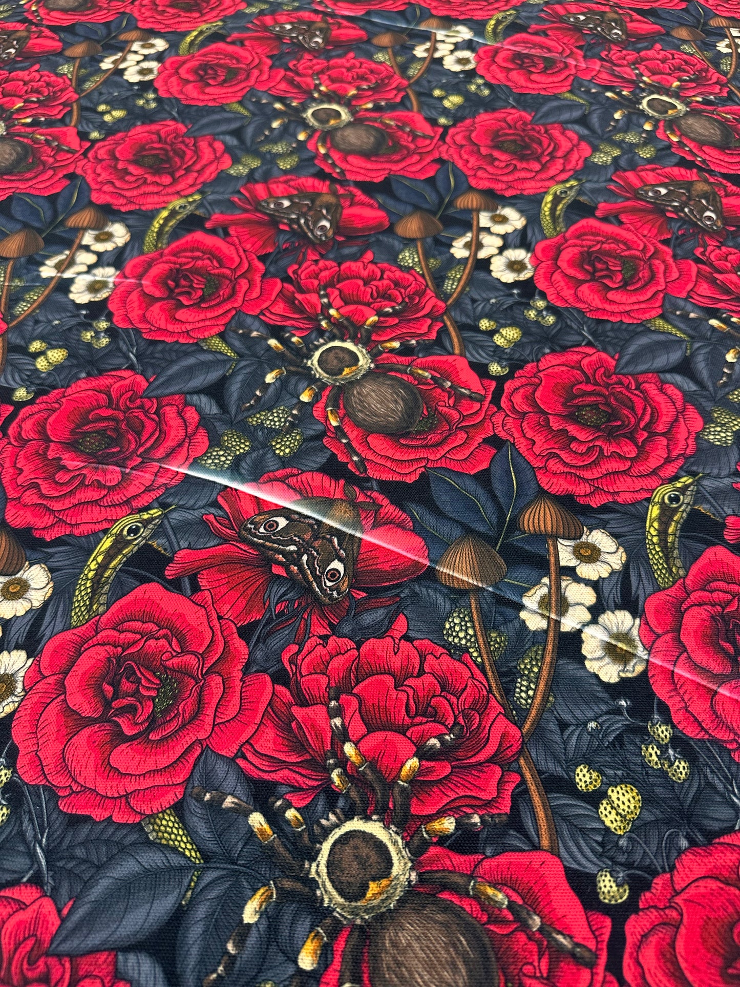 Panama Canvas: Floral Tarantulas (Flawed: New Release)