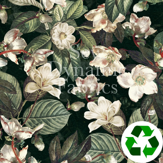 Drirelease: Magnolias