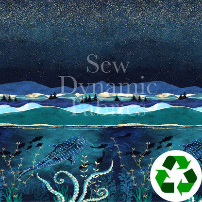 AK 265: Ocean Border