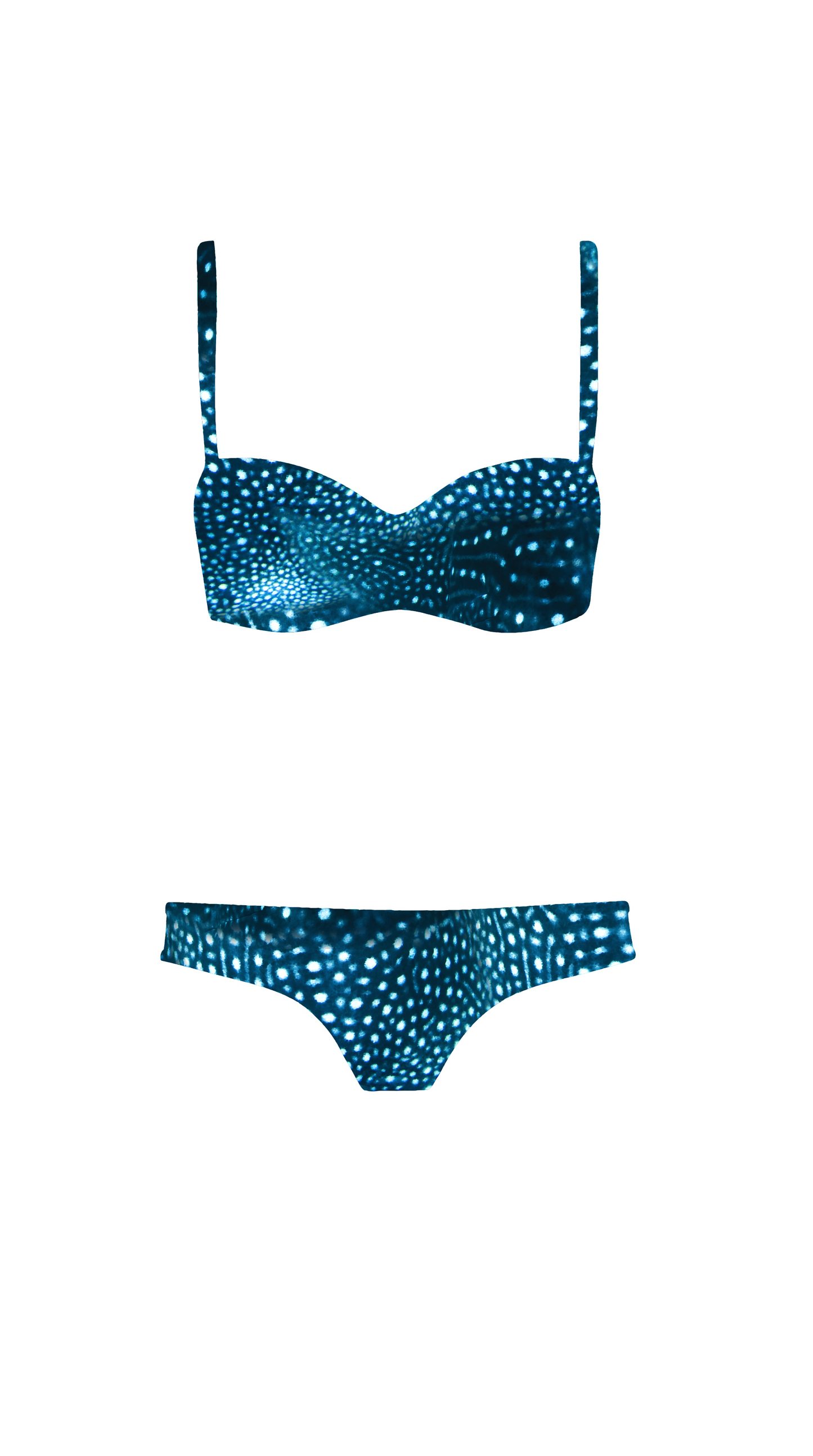 Swim Poly (NEW): Whale Shark