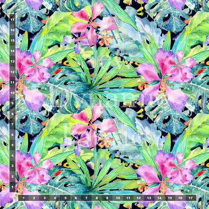 Drirelease: Tropical Paradise