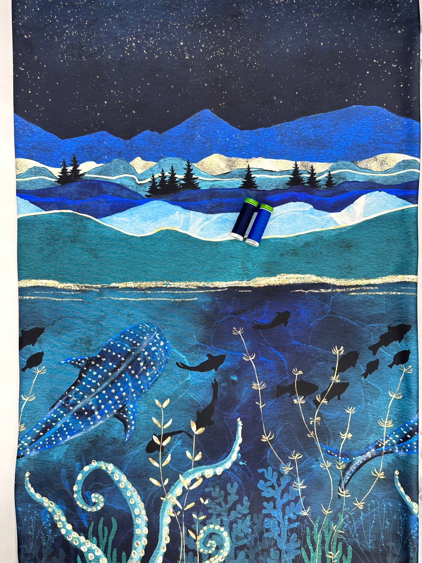 AK 265: Ocean Border