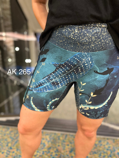 AK 265: Ocean Border