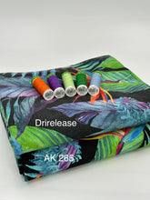 Load image into Gallery viewer, Boardshort: Bird of Paradise