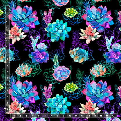 Drirelease: Succulents
