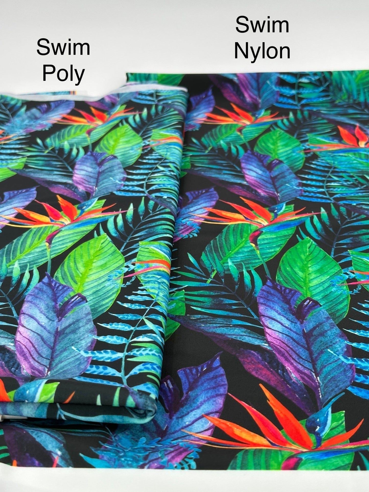 Boardshort: Bird of Paradise (18" Precut)