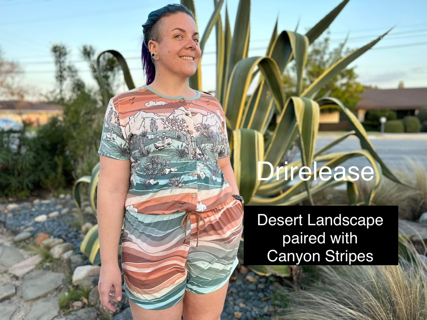 Recycled Canvas: Desert Landscape