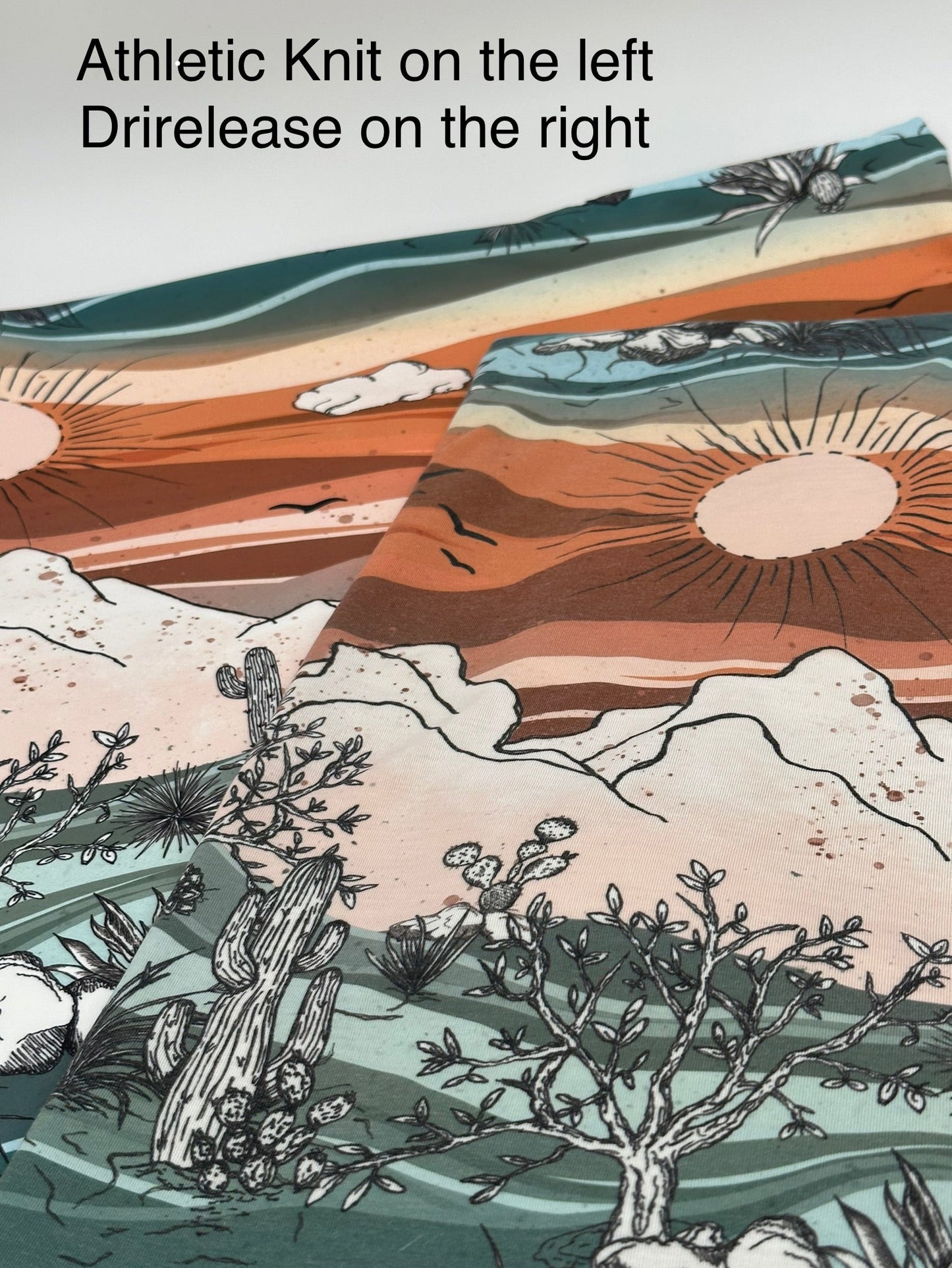 AK 265: Desert Landscape (Remnant: 22")