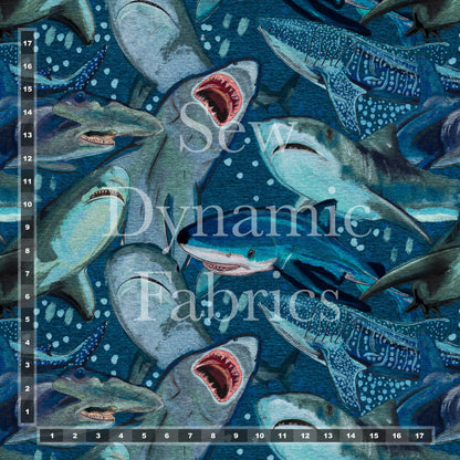 Boardshort: Sharks