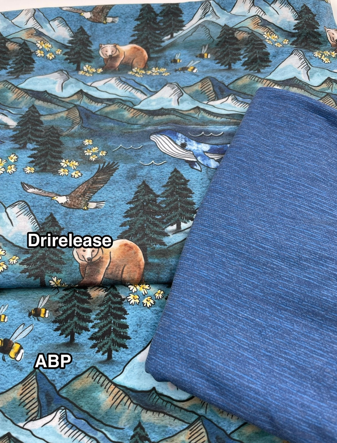 Brushed Jersey: Planet A (New Release)